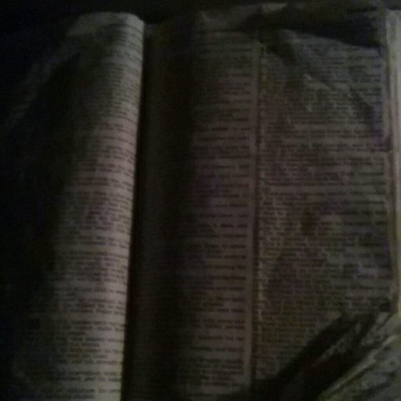 Meet your Posher, Florrette - Picture 1 of 1